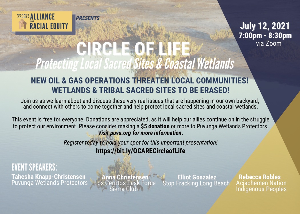 circle of life poster